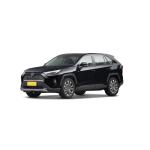 180km/h High Speed Toyota Rav4 Rongfang 5 Seats SUV Gasoline Petrol Electric