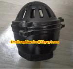 Pawofuou export BS21 cast iron foot valve from China
