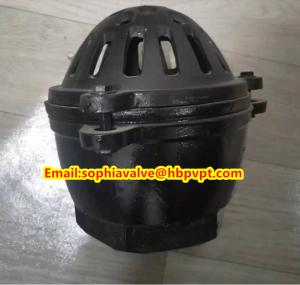 Quality Pawofuou export BS21 cast iron foot valve from China wholesale