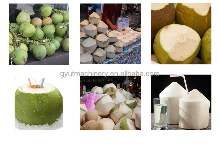 Restaurant Coconut Peeling Machine for Malaysia Market at Affordable