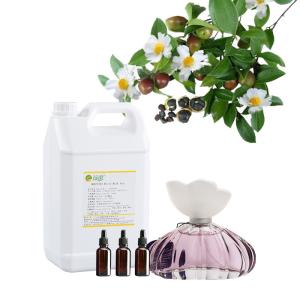 Quality High Concentrated Perfume Oil Perfume Fragrance For Spray Mist wholesale
