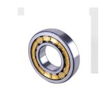 NU1021 NSK Cylindrical Roller Bearing For Vibrating Screens Lifting