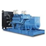 MTU 16V2000G25 Diesel Generator 800KW 1000KVA with 380V Output and 50 Hz/ 60 Hz