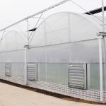 Hot Dipped Galvanized Steel PE Plastic Film Greenhouse 150mic 200 Micron