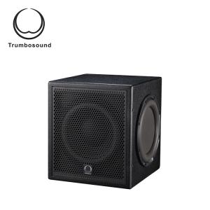 Quality 10 &quot; Active subwoofer box bass loudspeaker 200W TR10BA wholesale