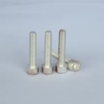Cylindrical Head Screws Allen M5 Stainless Steel Machine Screws Silverplated
