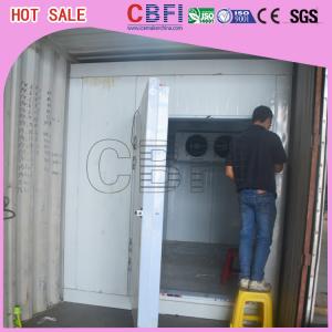 Quality Chicken Fruit Frozen Container Cold Room With Italy Brand Castal wholesale