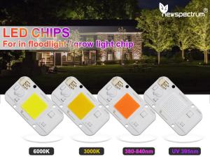 Quality 3000K Uv Light Module wholesale