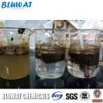 Powder Flocculant Cationic Polyacrylamide for Oil Refinery Waste Water Solid