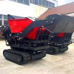 s All-Terrain Full Hydraulic Mini Truck Tracked Crawler Dumper for Other