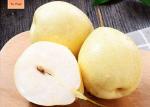 Fresh 200-300g Chinese Ya Pears Sweet Honey Like Flavor