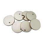 PZT Material Ultrasonic Ceramic Piezo Elements Piezo Ceramic Disc