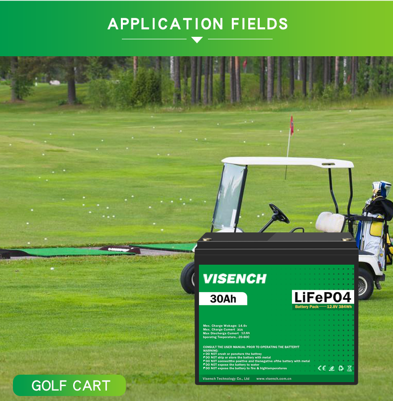Visench 12V 30Ah Lithium Ion Iron Phosphate Battery Rechargeable 12.8V Lifepo4 Battery Pack