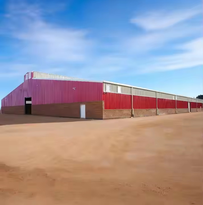 Economical Light Steel Structure Chicken House , Prefab Agricultural Buildings