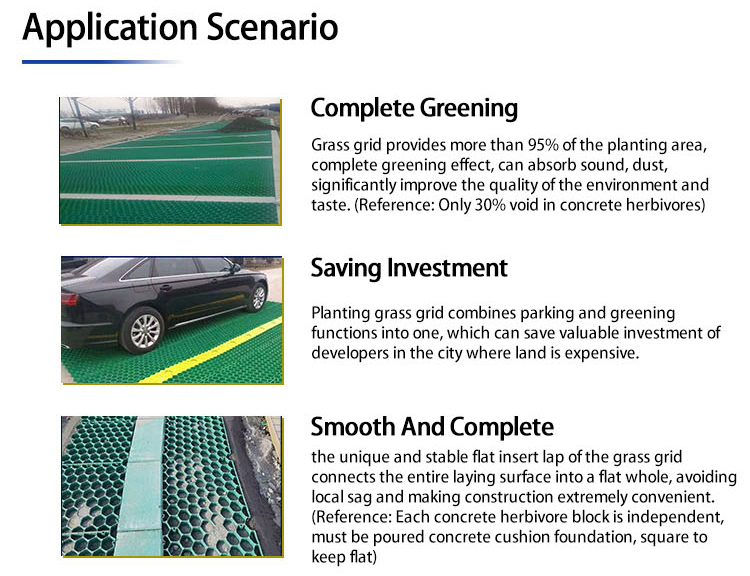 Black Green HDPE Plastic Grass Paver Grid for Parking Lot Planting Durable and Strong