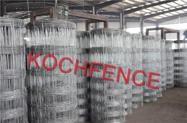 High Tensile Steel Wire Hinge Joint Field Fence , Agricultural Use Farm Field