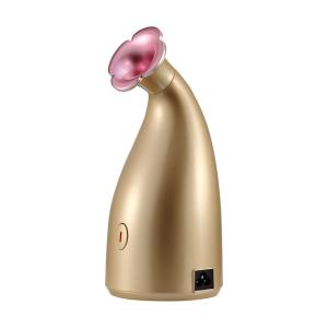 Quality Nano ionic Facial steamer wholesale