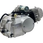 DAYANG Tricycle Engine YF 130cc Electric/Kick Motorcycle Assembly Silver