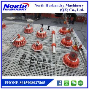 Quality tempat pakan ayam otomatis screew feeder wholesale