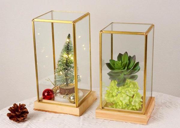 Glass artifact succulent cover copper golden gife package box jewelry accessorie