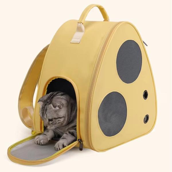 Luxury Pet Carrier Bag Travel Airline Approved Dog Cat Travel Backpack With