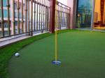 Tennis Court Golf Green Turf Grass Younger Loving Artificial Green Swad