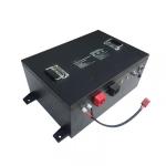 LiFePO4 Lithium Battery Auto AGV Robot Energy Storage Battery 24V 48V Rechargeab