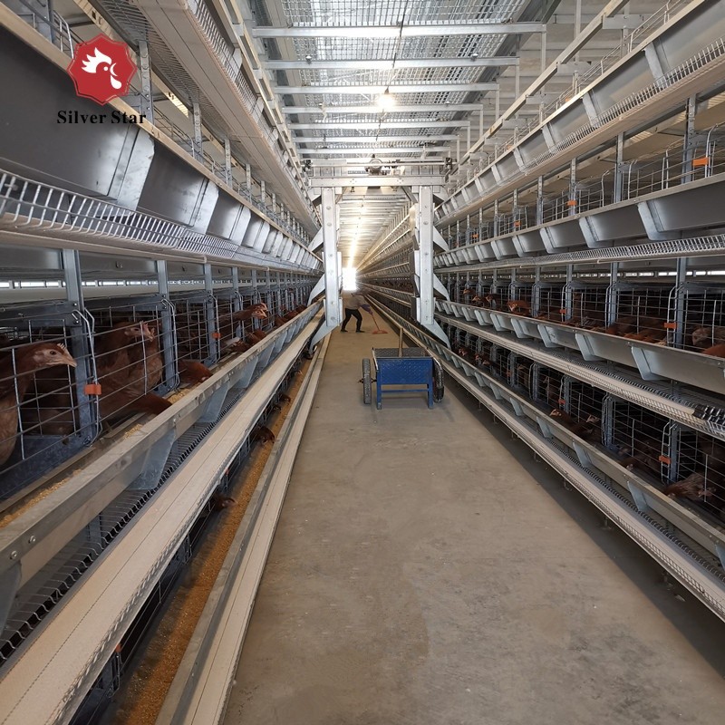 Automatic Egg Layer Chicken Farm Hens Cage UAE Poultry Equipment H Type