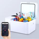 Compressor Type Food Medicine 16L Car Mounted Refrigerator