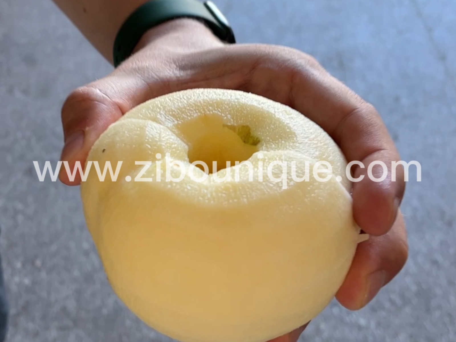 Apple Peeler Head Pear Peeling Coring Cutting Machine with Video Technical Support
