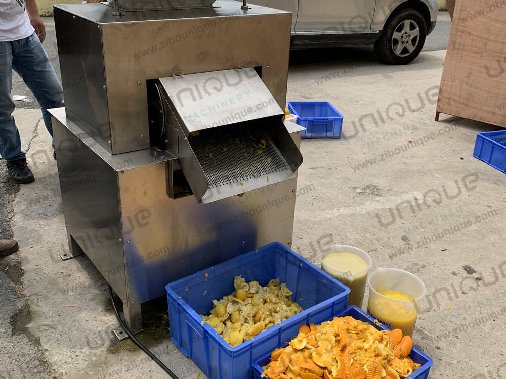 Automatic Stainless Steel 304 Electric Fruit Extractor for Pineapple Tomato Juice