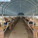 Hot-dip Galvanized Steel Poultry Film Tunnel Greenhouse Waterproof Sheep