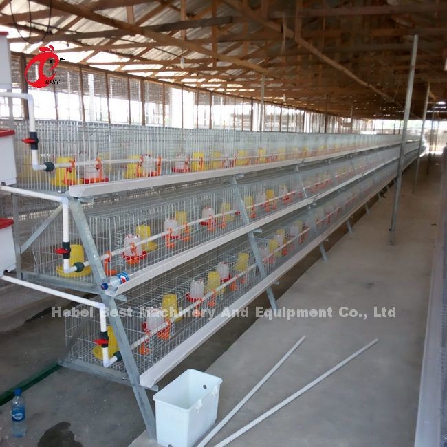 Automatic 4 Tiers H Type Broiler Chicken Cage For Chicken Farm Ada