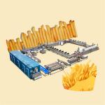 Electronic Frozen French Fries Production Line Food Grade 304 Stainless Steel
