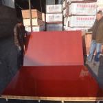 Lightweight Hardwood Faced Plywood Resistant To Corrosion Eco Friendly