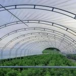 Double Arches Double Film Agricultural Growing 10X50m Single Span Greenhouse