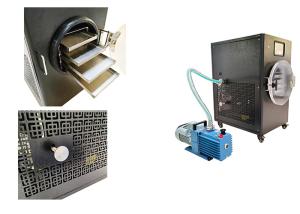 Quality 4Kg 6Kg Stayfresh Freeze Dryer -20C-50C Drying Tempe wholesale