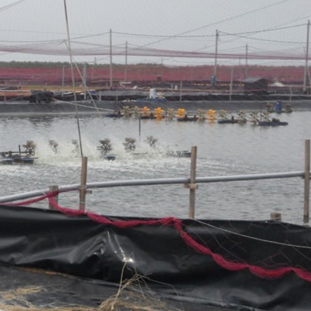 Waterproof Black Color 100% Virgin HDPE 1.0mm Geomembrane for Chemical Containment