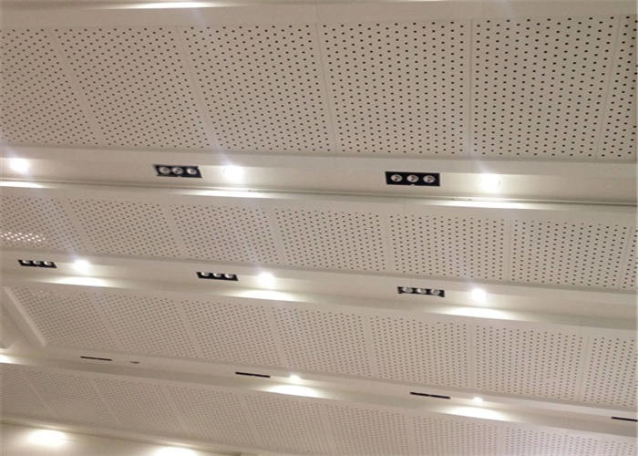 High Strength 10mm PPR Plastic Perforated Sheet