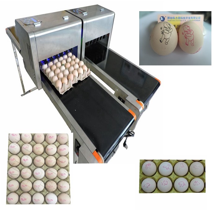 Intelligent Safe Egg Stamping Equipment , Graphic Logo Making Machine For Eggs