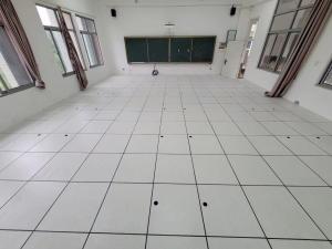 Quality Raised Access Floor wholesale