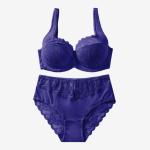 High Quality Comfortable Women's Bra And Panty Set Lace Underwear And Bra Sets D