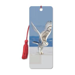 Quality CMYK 15.6X5.3cm Birds 3D Lenticular Bookmark With Tassels wholesale