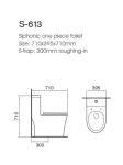 Elongated One Piece Toilet Ceramic Low Tank Siphonic Single Piece Toilet S Trap