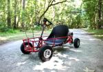 Mechanical Chain Transmission 20mph 40cc Youth Go Karts