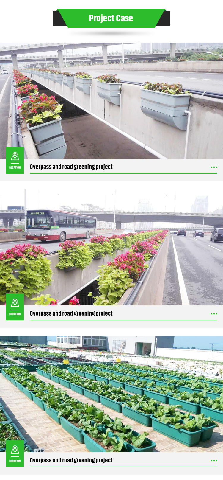 Large Garden Planting Tray The Perfect Combination of Overpass and Green Roof