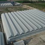 6m 7m 8m 9m Span Clear Plastic Film Greenhouse Vegetable Farming Tomatoes Pepper