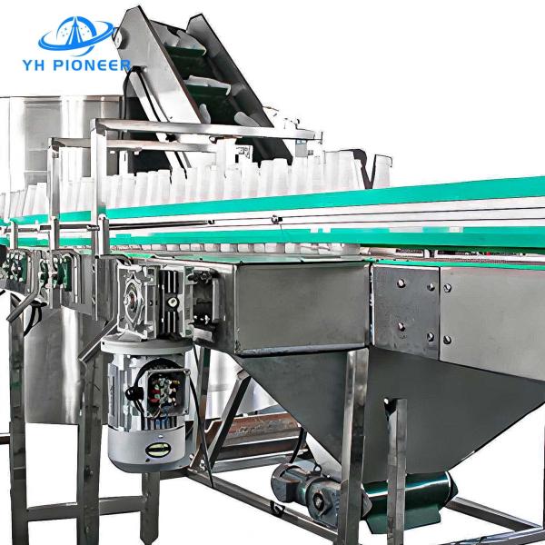 Hygienic Design Pressureless Bottle Transport Conveyor With Enhanced Friction