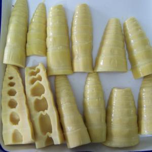 Quality Sweet Flavor Canned 100% Fresh Bamboo Shoot Steamed Processing Type wholesale