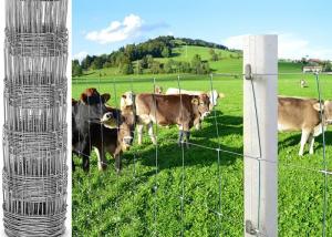 Quality Protection Electro Galvanized Steel Cattle Fence , Deer / Grassland Wire Fence wholesale